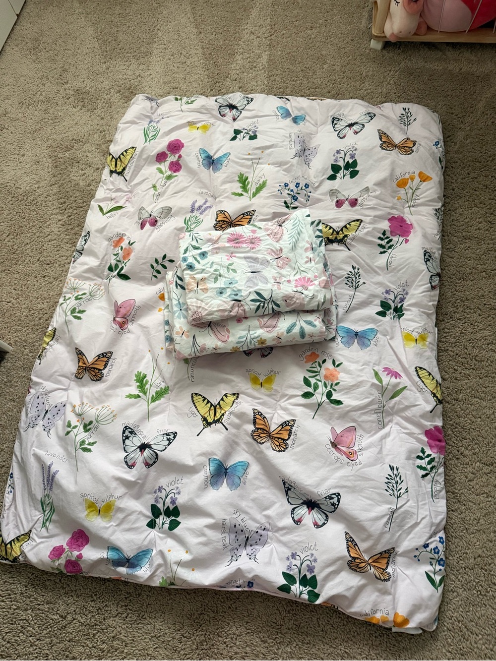 Pottery Barn Kids White Butterfly & Floral Comforter Set